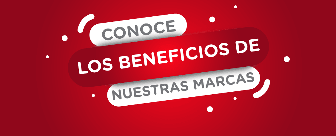 banner de nuestras marcas